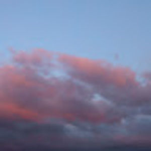 Meet your Posher, Cassi